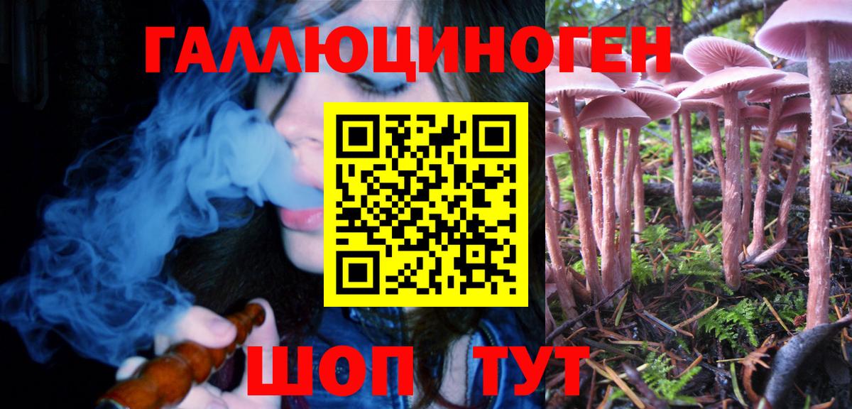 Галлюциногенные грибы Cubensis Сочи