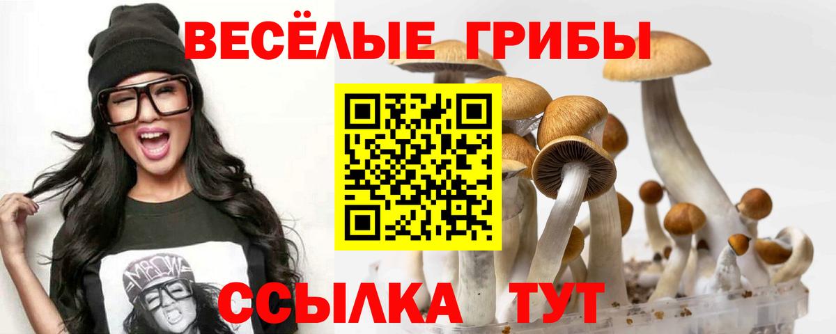 Псилоцибиновые грибы прущие грибы  Вход с VPN  дарнет шоп  Псилоцибиновые грибы ЛСД  Сочи 